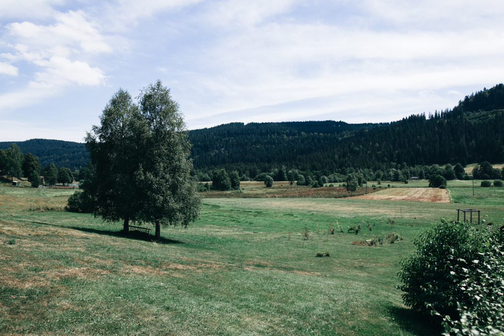 Hochzeit Hensler Hof 035